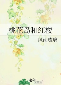 桃花岛和红楼