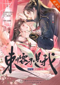 将军！刺客不是我