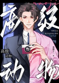 高级动物