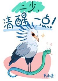 二少，清醒一点