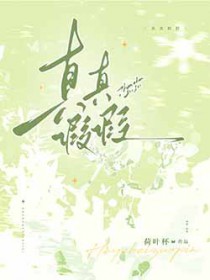 真真假假