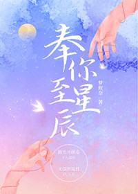 奉你至星辰