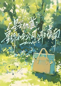 [星穹铁道] 星际和平公司入职指南
