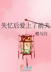 失忆后爱上了前夫
