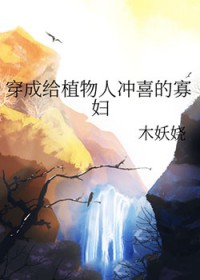 穿成给植物人冲喜的寡妇