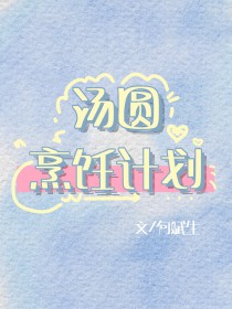 汤圆烹饪计划