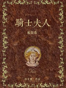 骑士夫人模拟器