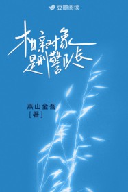 相亲对象是刑警队长