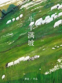 牛羊满坡