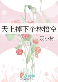 天上掉下个林悟空