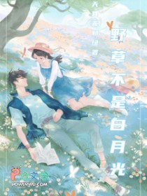 野荷刺（野草不是白月光）