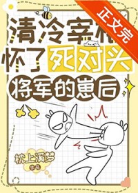 清冷宰相怀了死对头将军的崽后