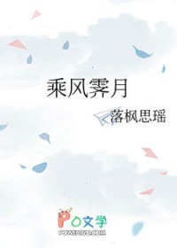 乘风霁月