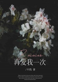 再爱我一次