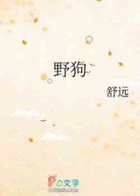 野狗