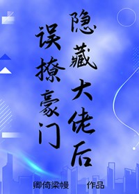 误撩豪门隐藏大佬后