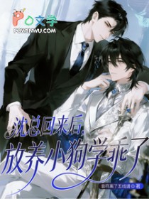 沈总回来后，放养小狗学乖了